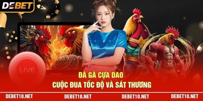 Đá gà cựa dao