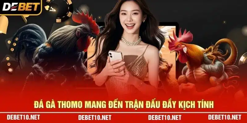 Đá gà thomo mang đến trận đấu đầy kịch tính