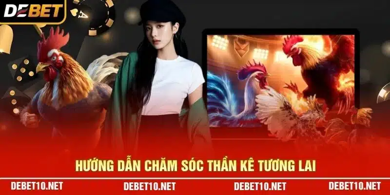 Hướng dẫn chăm sóc thần kê tương lai